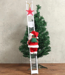 O Papai Noel Que Escala Sua Árvore!